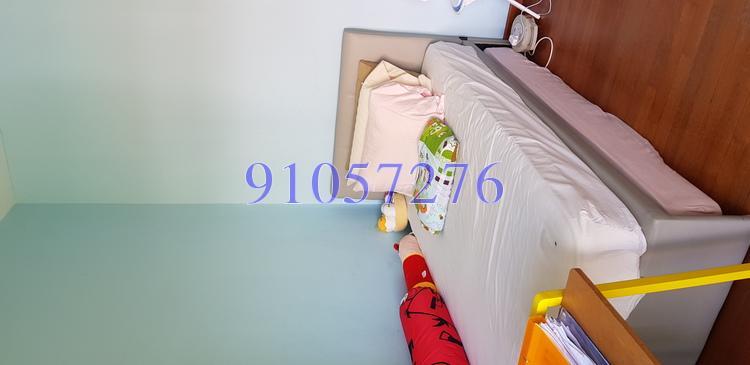 Lorong Siglap (D15), Semi-Detached #174285482